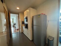 Cairnhill Crest (D9), Condominium #636460051